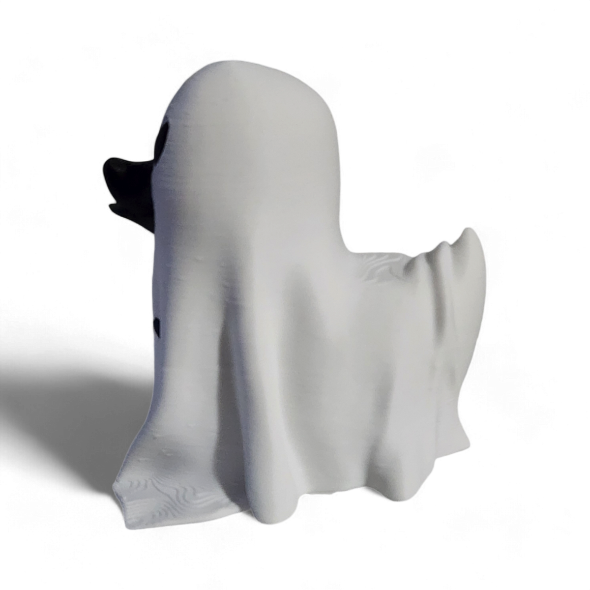 Boo, the Ghost Duck