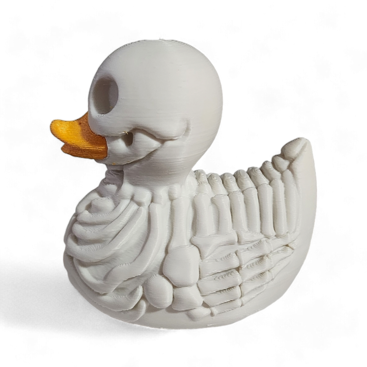 Skeleton Duck