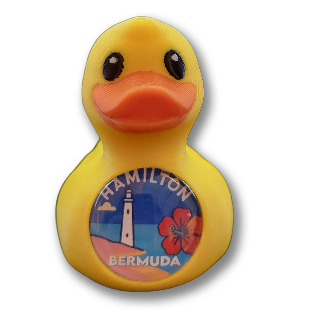 QuackSpot Port Ducks: Your Cruise Adventure in a Duck!