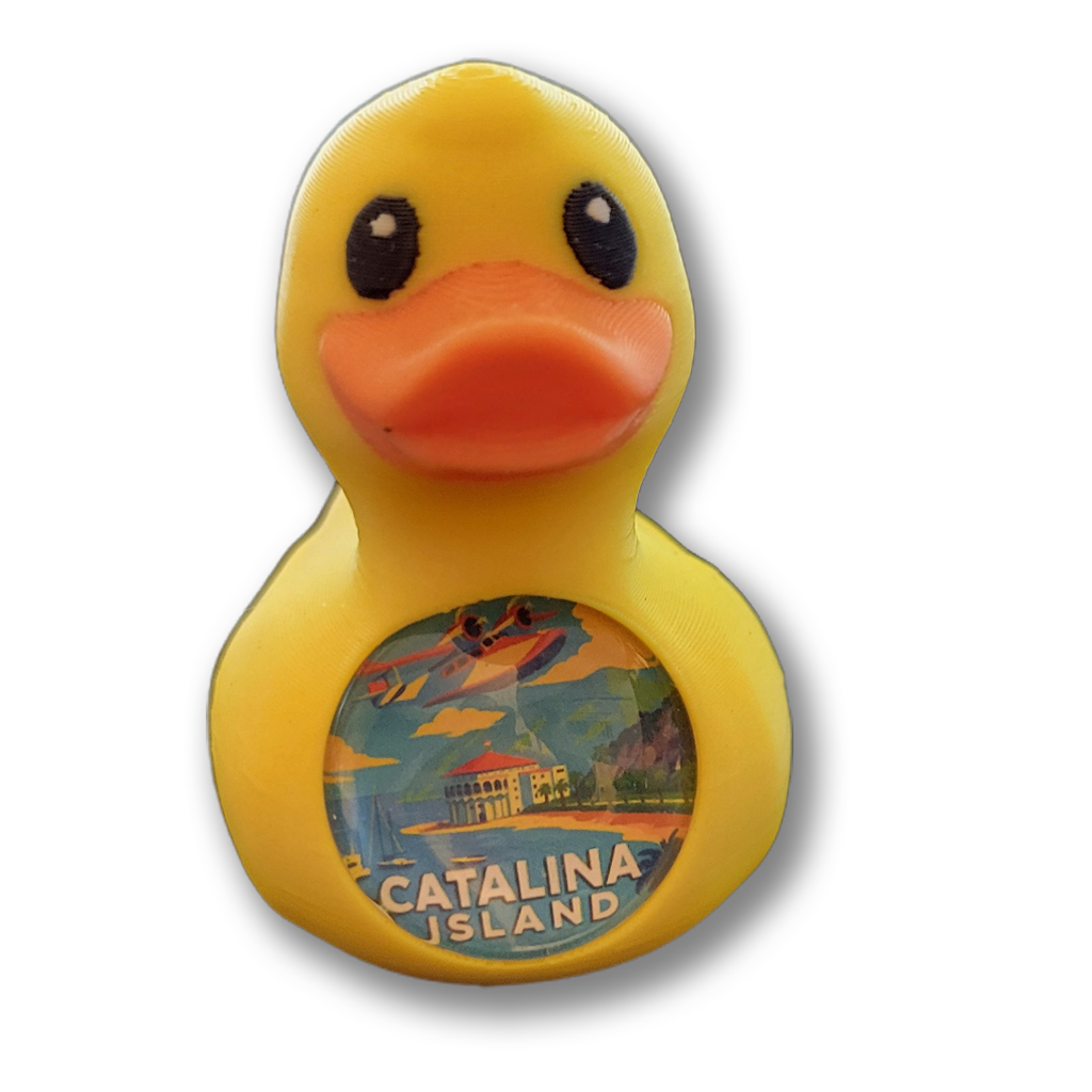 QuackSpot Port Ducks: Your Cruise Adventure in a Duck!