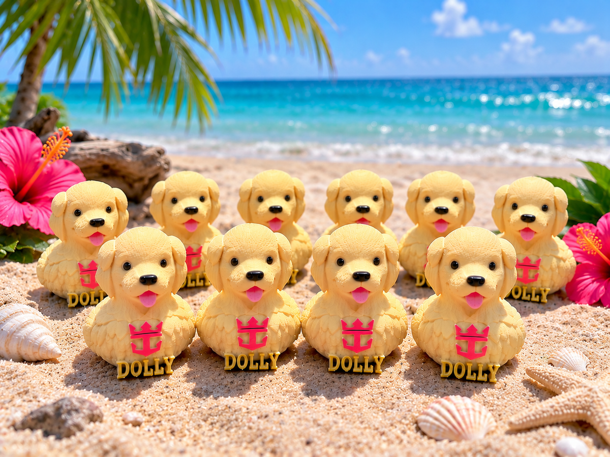 Set of 10 Hero of the Seas Dolly dog ducks