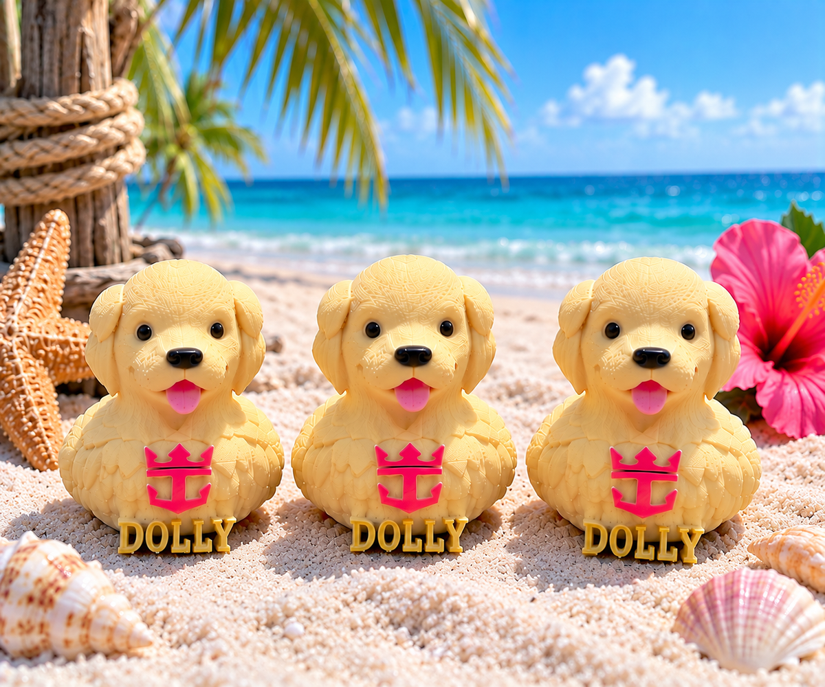 Set of 10 Hero of the Seas Dolly dog ducks