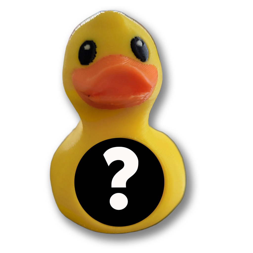 QuackSpot Port Ducks: Your Cruise Adventure in a Duck!