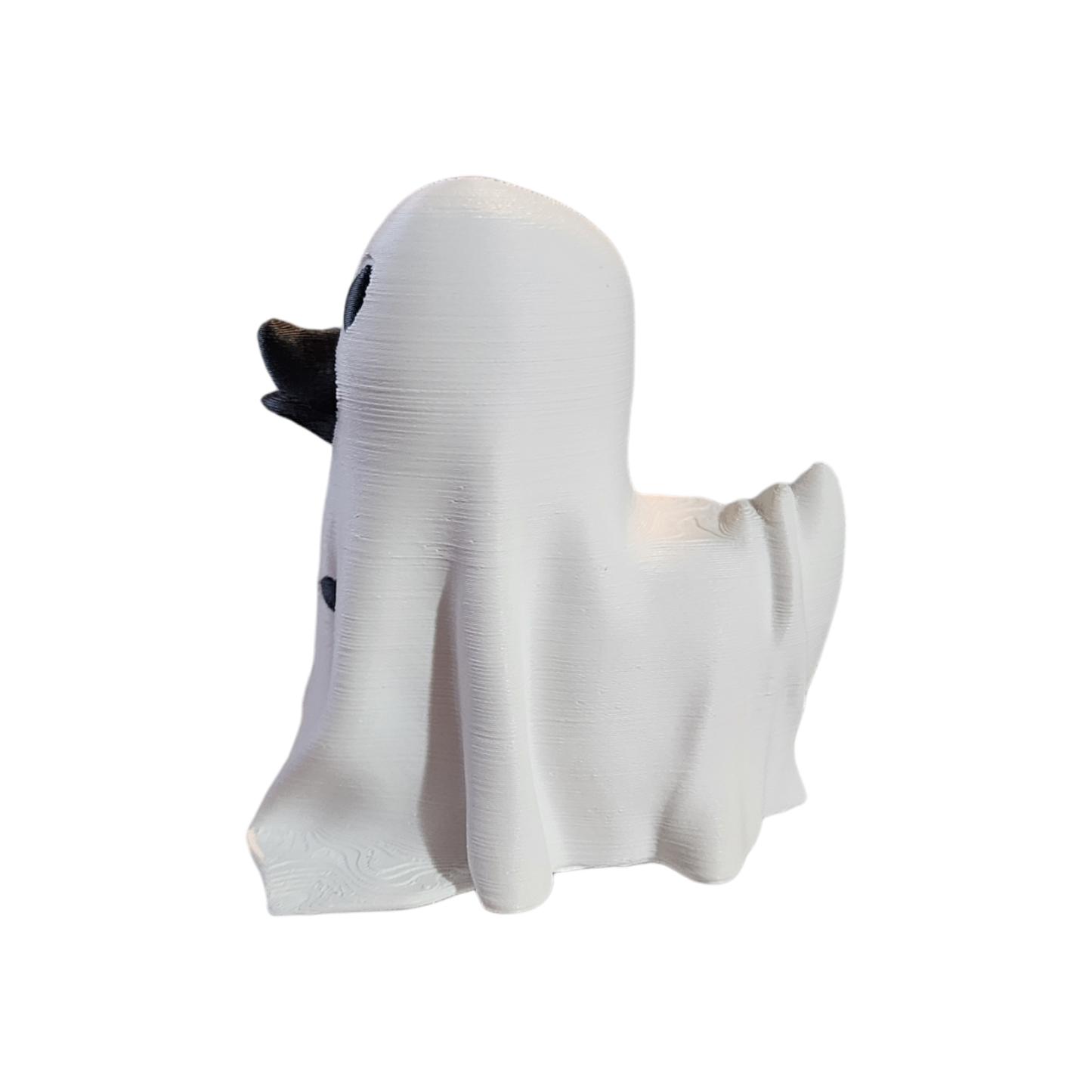 Boo, the Ghost Duck