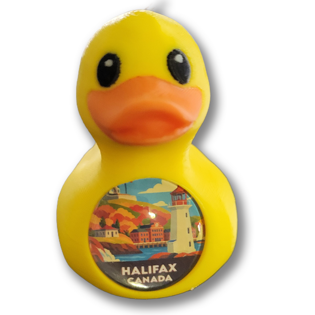 QuackSpot Port Ducks: Your Cruise Adventure in a Duck!