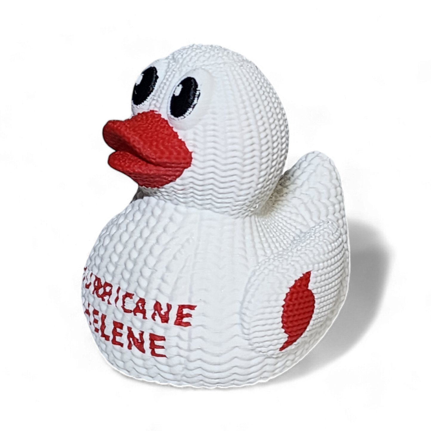 Hurricane Helene Healing Duck