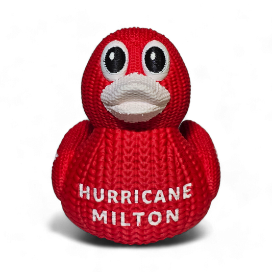 Hurricane Milton Relief Duck