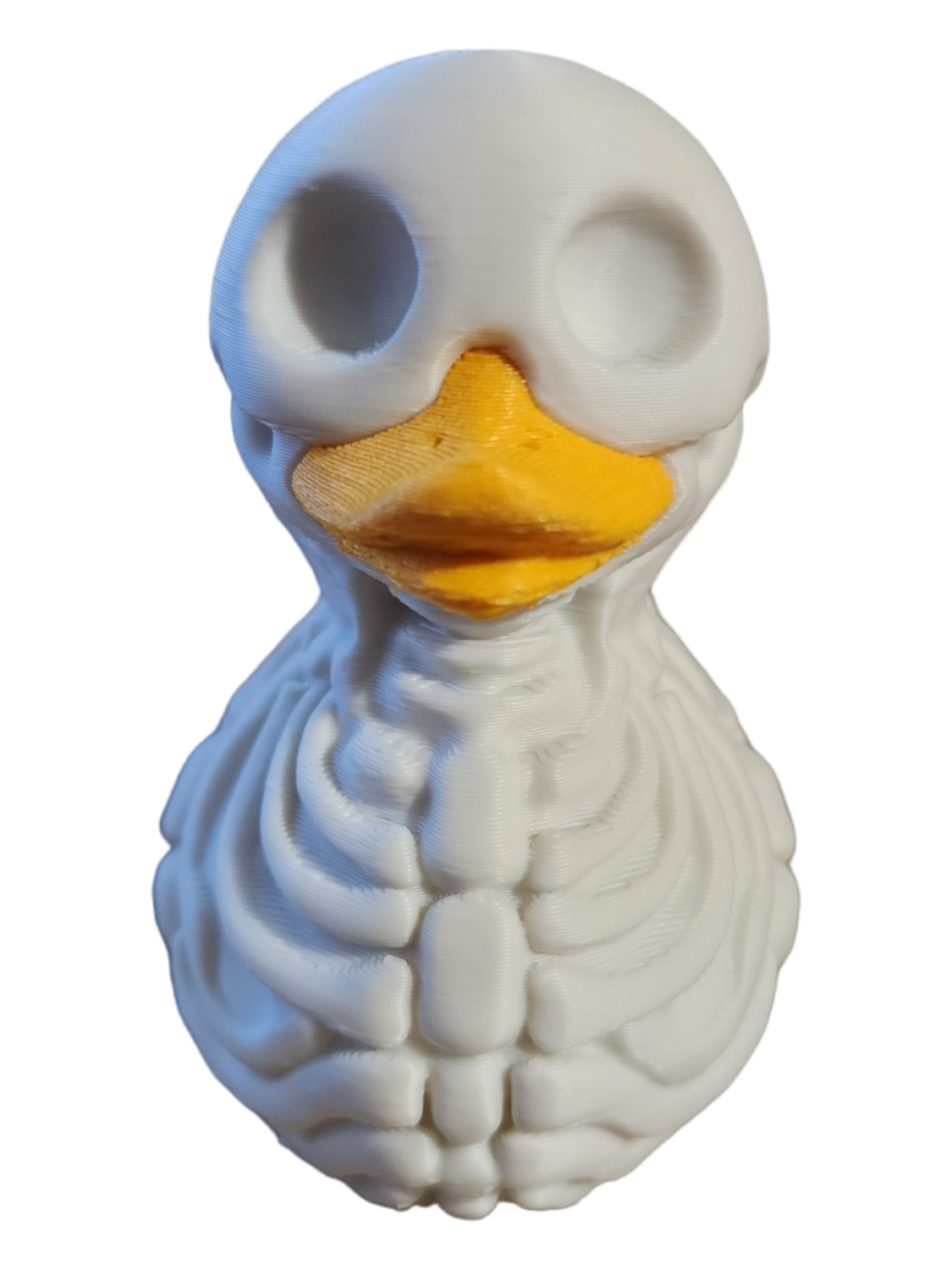 Skeleton Duck