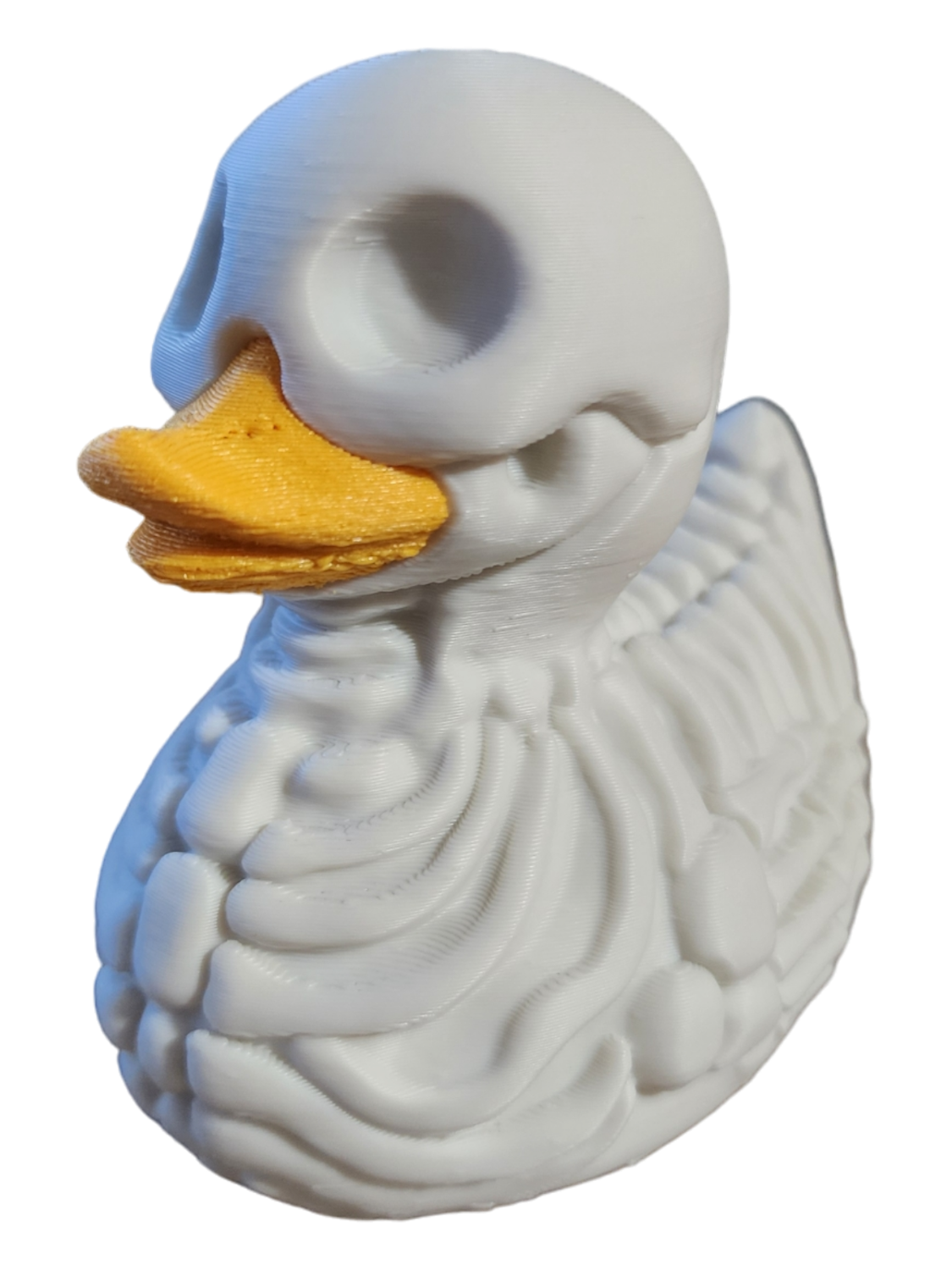 Skeleton Duck