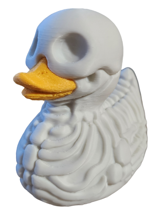 Skeleton Duck