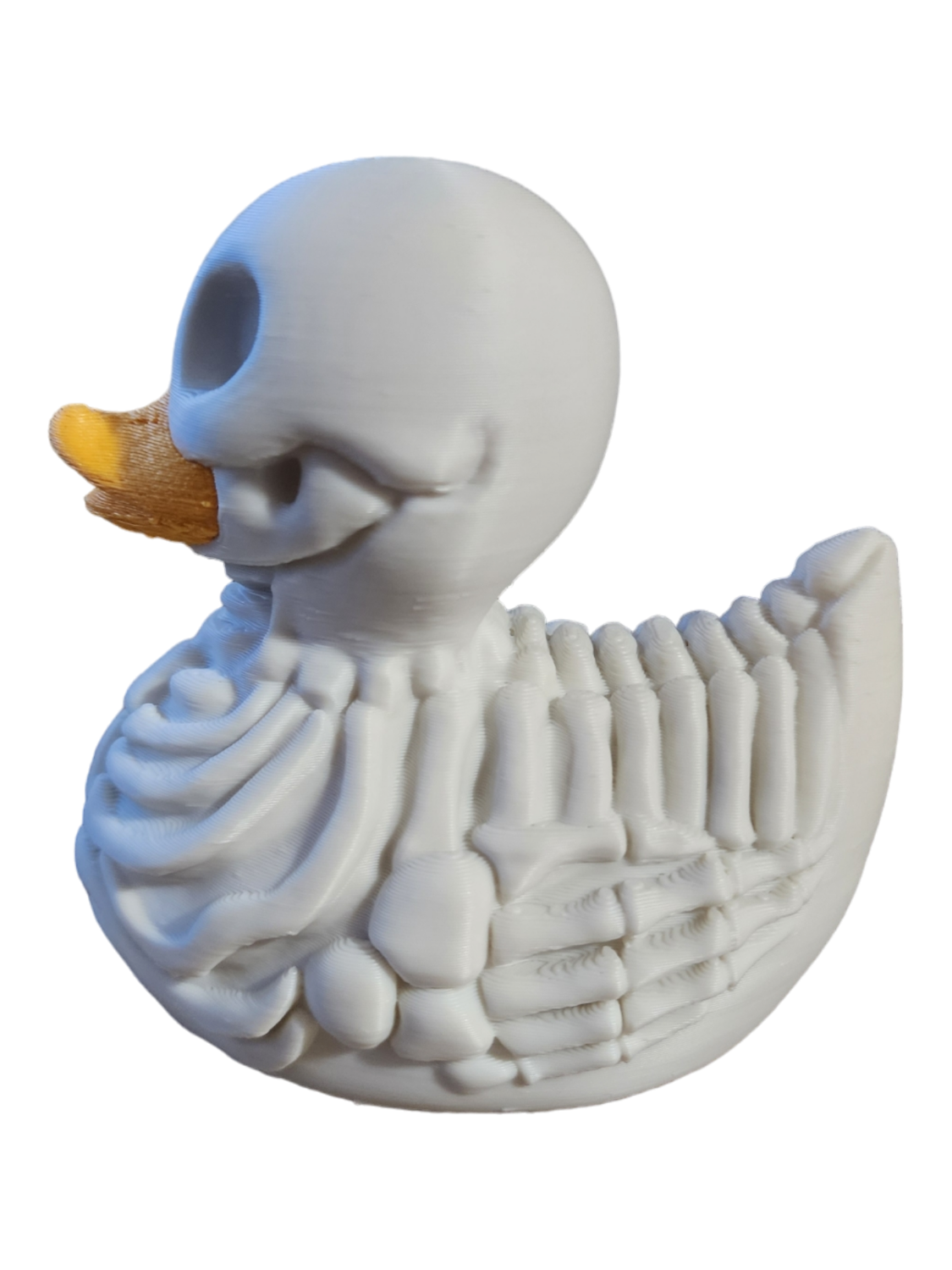 Skeleton Duck