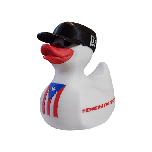 Puerto Rico Duck