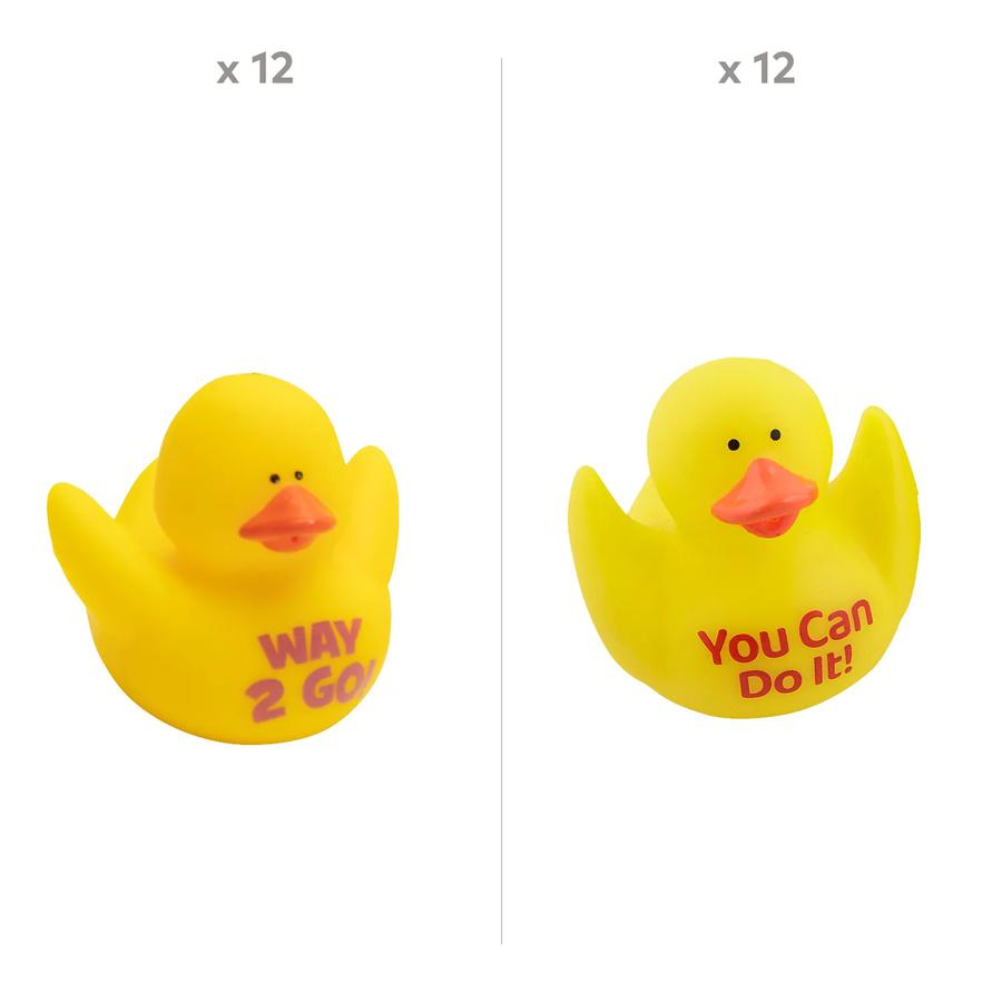 Inspirational & Motivational Ducks Assortment Kit - 24-Pack - photo 2