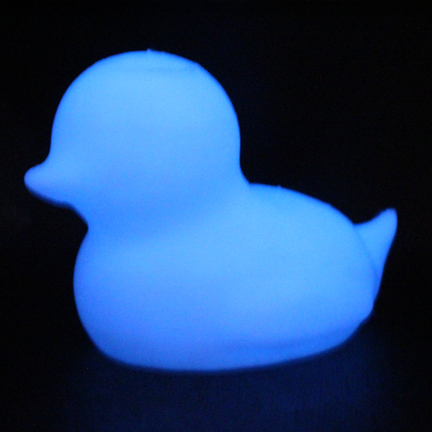 Spriggy Duck