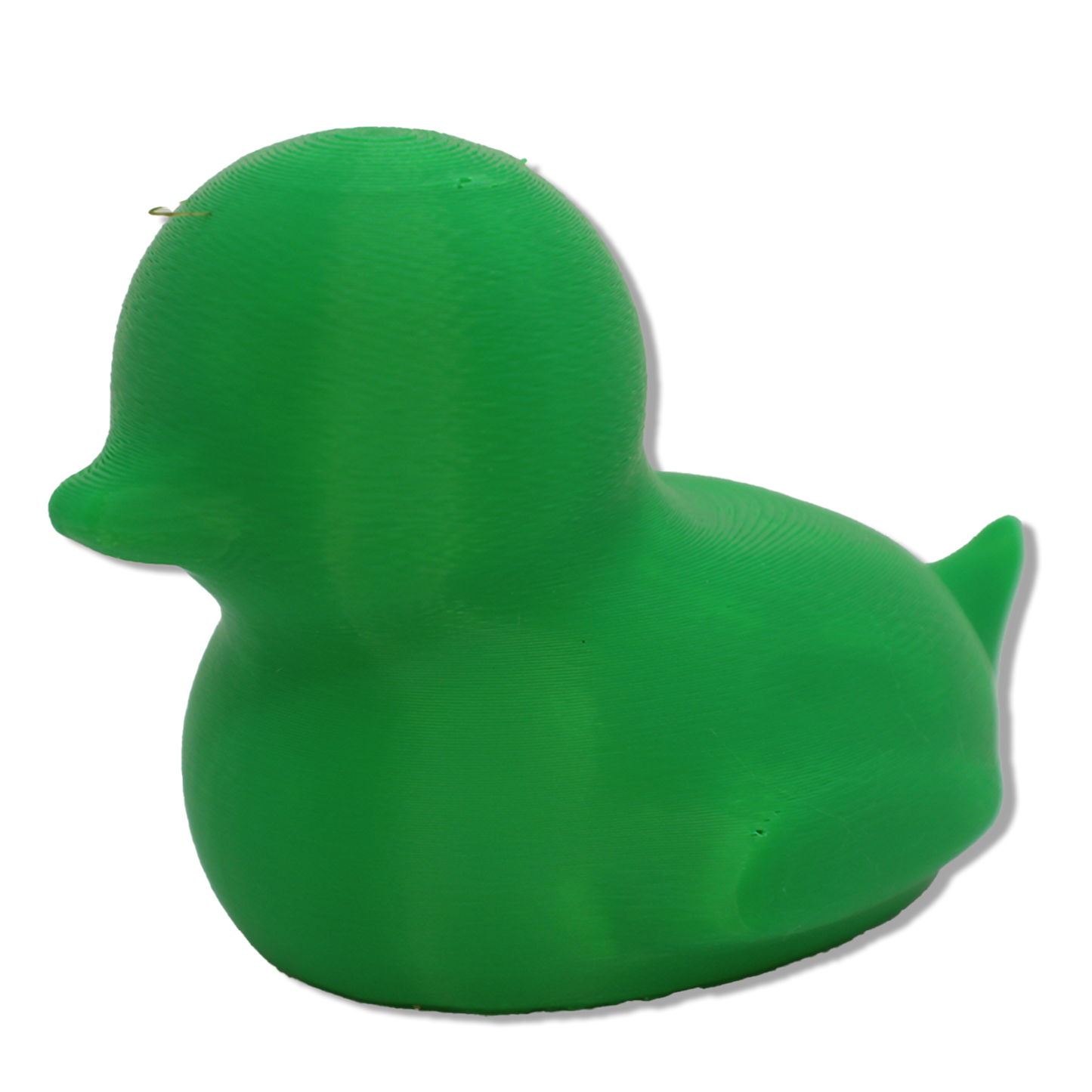 Spriggy Duck