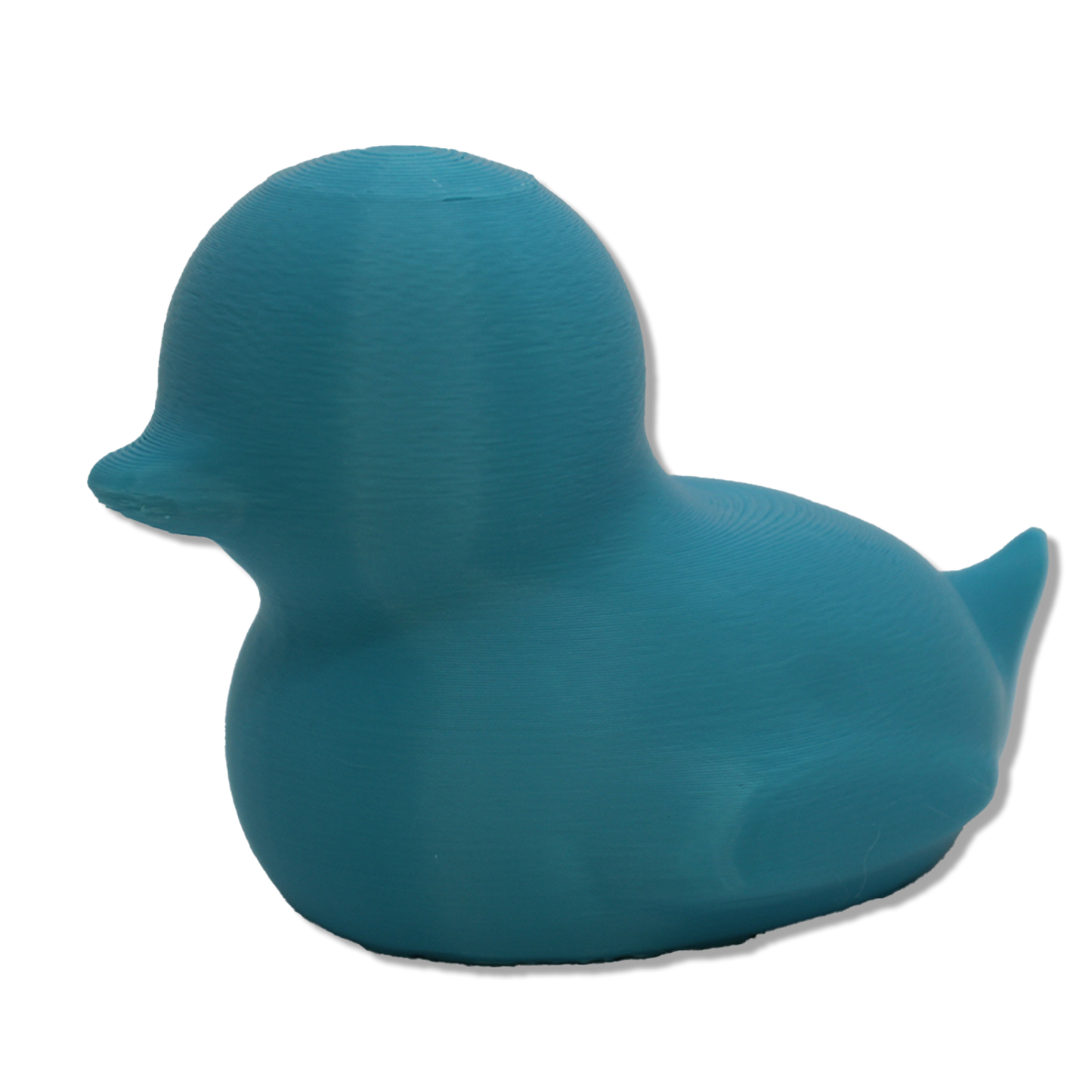 Spriggy Duck