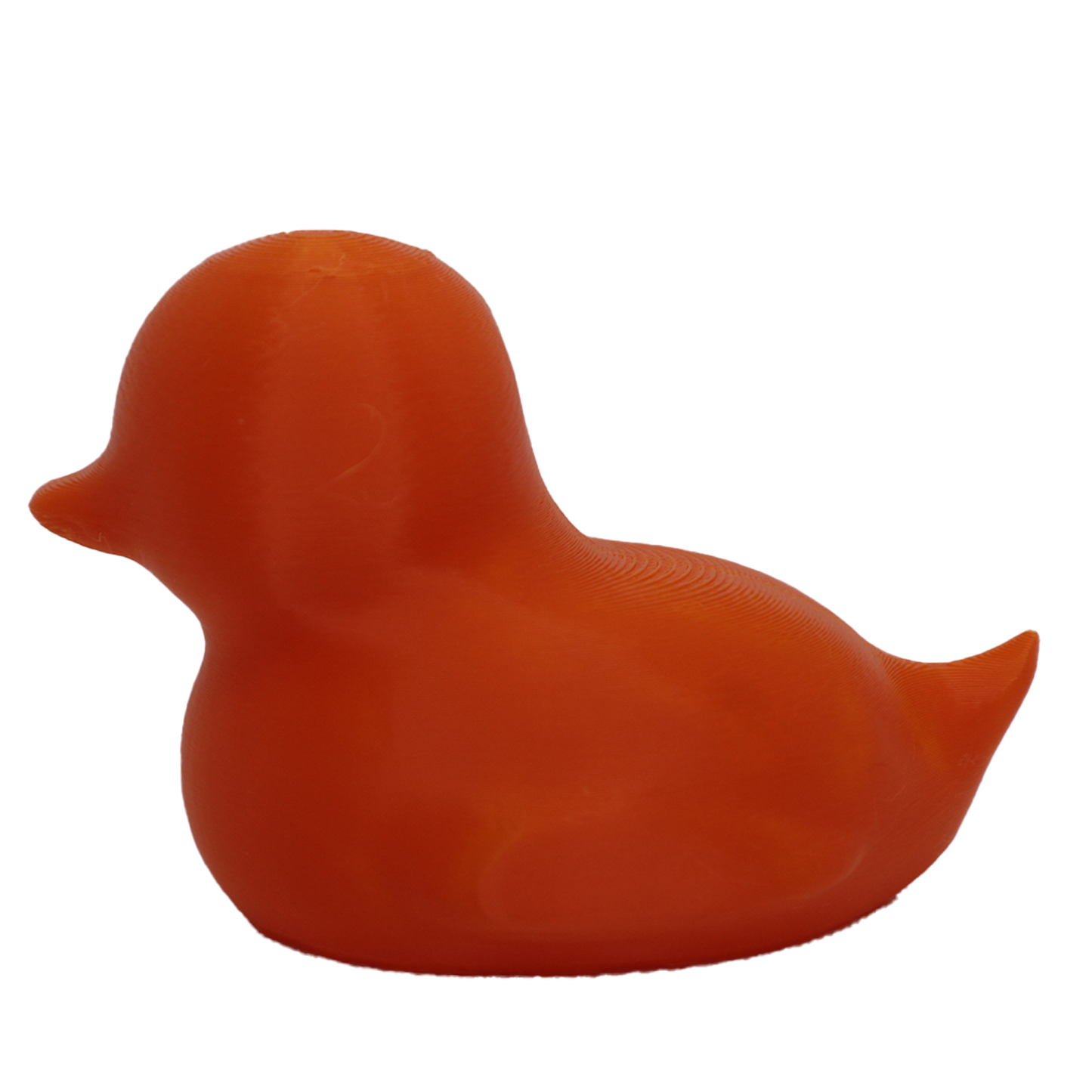 Spriggy Duck