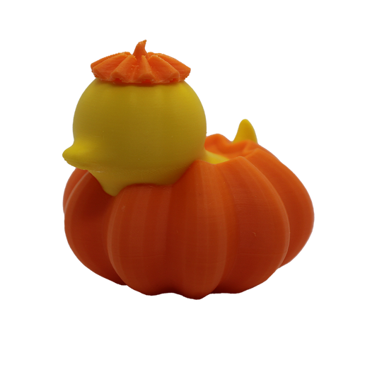 Spriggy Pumpkin Duck