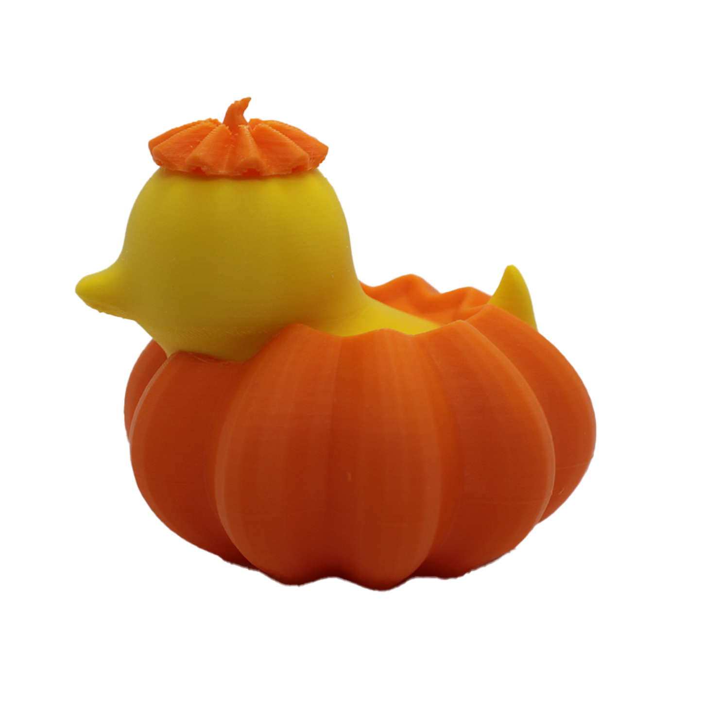 Spriggy Pumpkin Duck