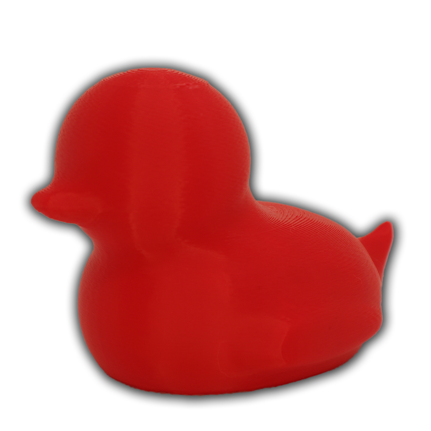 Spriggy Duck