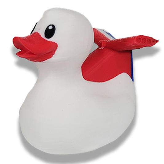 Carnival Duck