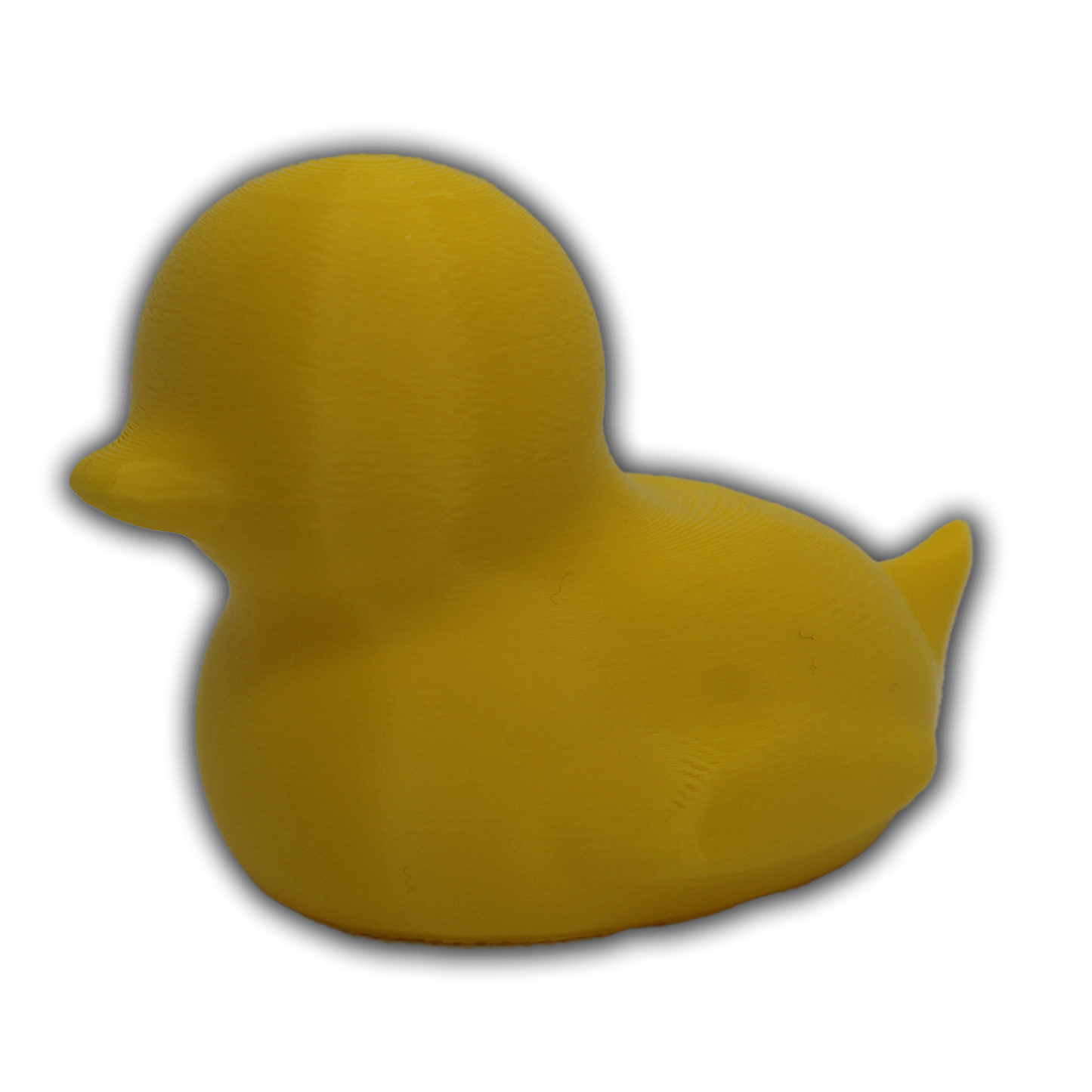 Spriggy Duck