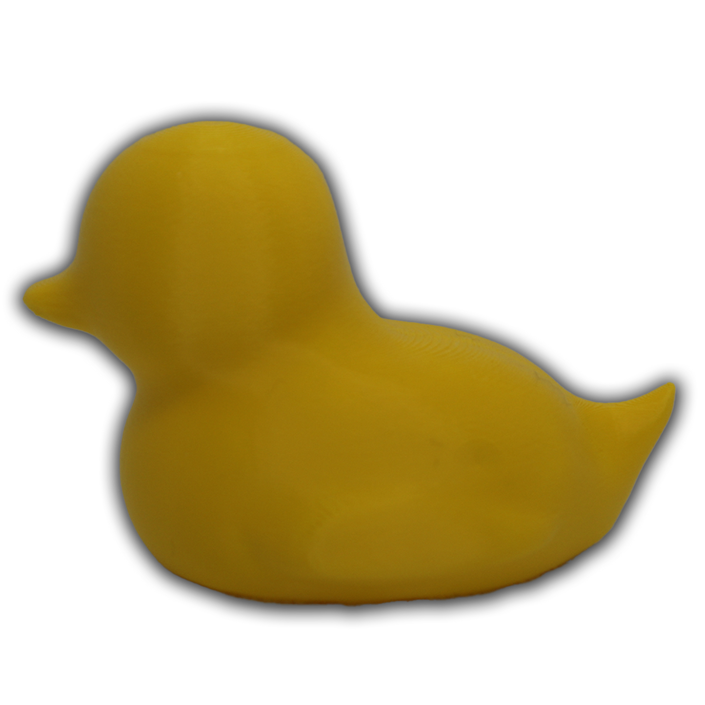 Spriggy Duck